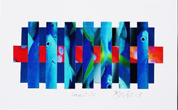 Collage 7