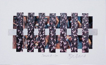 Collage 8